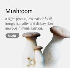 Fresh mushroom suppliers Korea